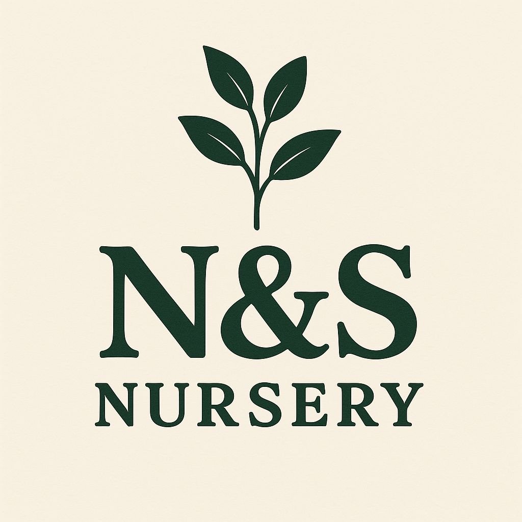 N&S Nursery